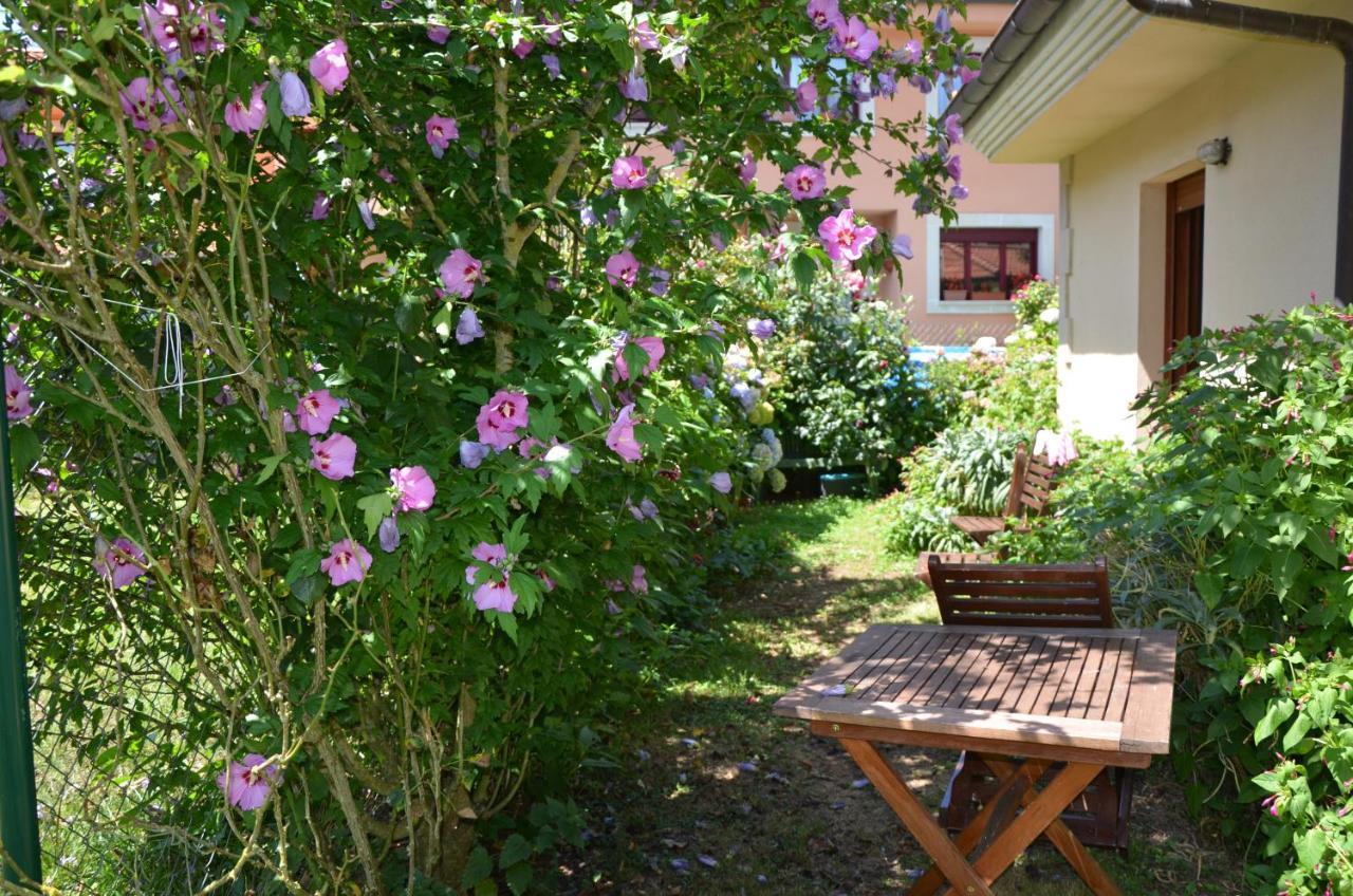 Hotel Arenas De Cabrales- Apartamentos Esterno foto