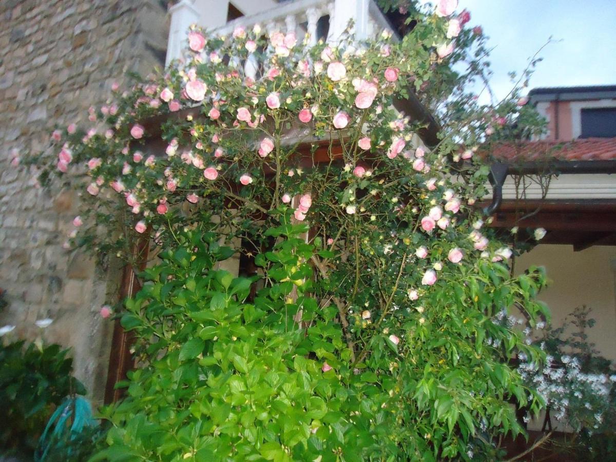 Hotel Arenas De Cabrales- Apartamentos Esterno foto